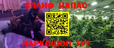 прущие грибы Обь