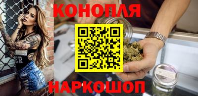 прущие грибы Обь