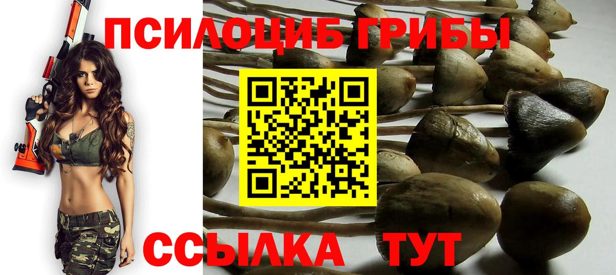 Галлюциногенные грибы MAGIC MUSHROOMS Тулун